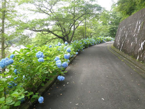 P7140009_R.jpg