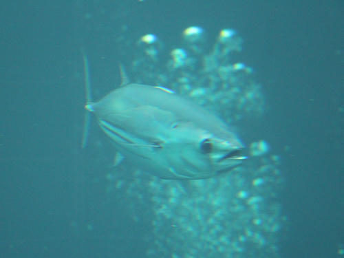IMG_0943-2_R.JPG