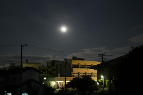 IMG_1743_R.JPG