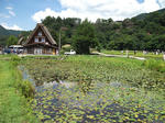 のどかな風景２
