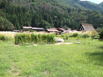 のどかな風景
