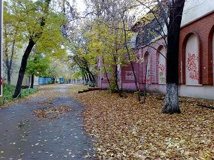 12102008155.jpg