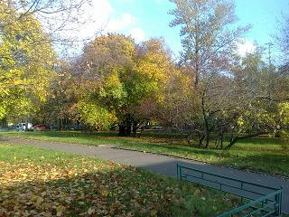 1410200910431.JPG