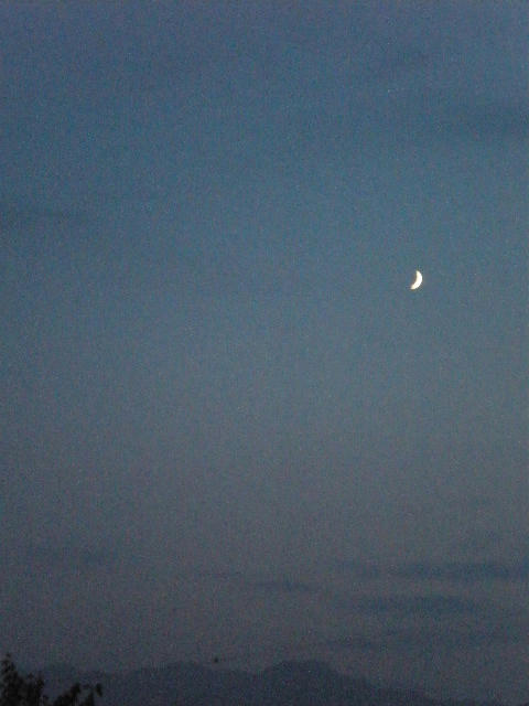 crescent