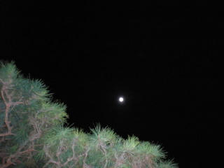 13夜