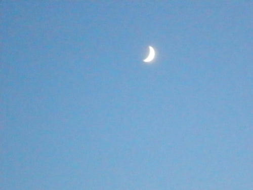 moon