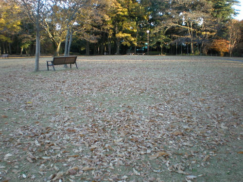 park