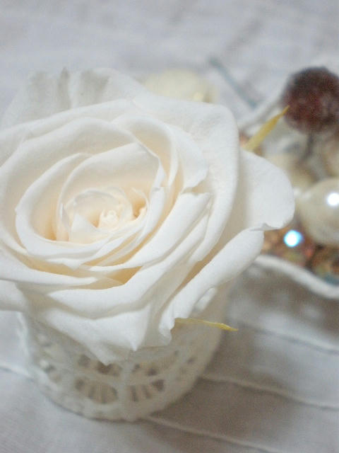rose