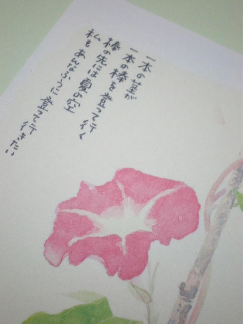 hoshino