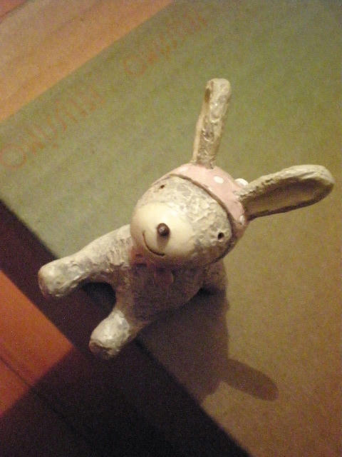 usagi.