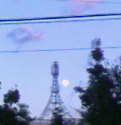 bluemoon