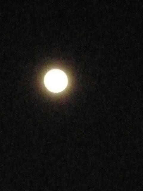 bluemoon.2010