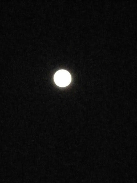 bluemoon2010