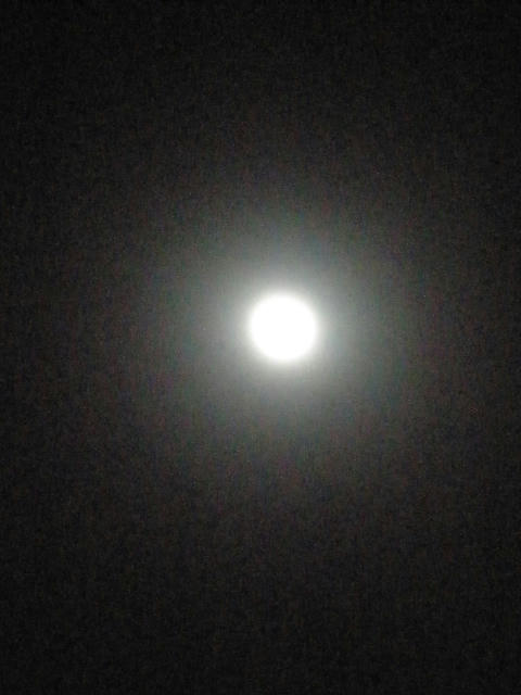 bluemoon2010
