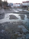 080330_01.jpg