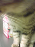 080409_01.jpg