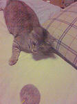 080411_01.jpg