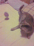 080411_02.jpg