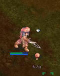 080708.jpg