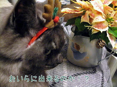 07-12-25-7.jpg
