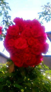 08-6-25-1.jpg