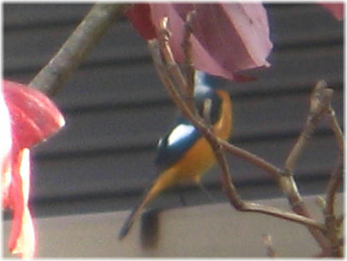 09-11-9-3.jpg