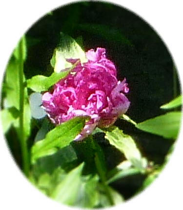11-6-8-1.jpg
