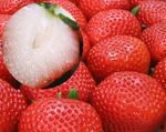 img3cdf9709zik6zj.jpg