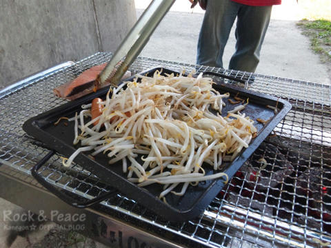 moyashi.jpg