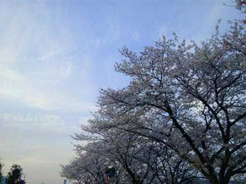 07e61612.jpg