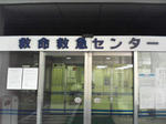 ヤバい救命救急センター
