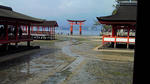 201003131226000.jpg