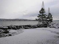 nakaniwa_1_17_3.jpg