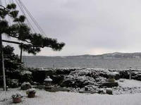 nakaniwa_1_17_4.jpg