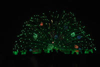 08natuhanabi-4.jpg