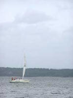 P1010011-1.jpg