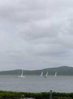 P1010013-1.jpg