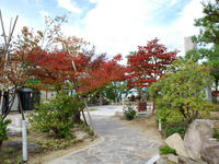 betenzaki101029-2nj.jpg