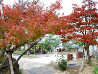 betenzaki101029-6nj.jpg