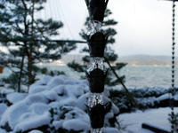 kesiki110107-1nj.jpg