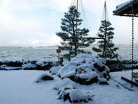 kesiki110107-2nj.jpg