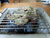 kaki110120-1nj.jpg