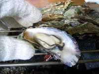 kaki110120-2nj.jpg
