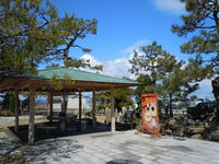 kawarasyasin110327-1nj.jpg