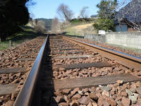 gazou110412-1nj.jpg
