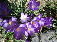 gazou110412-2nj.jpg