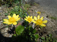 gazou110412-3nj.jpg