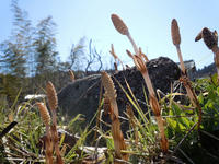 gazou110412-4nj.jpg