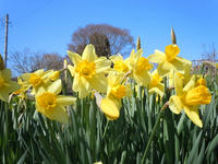gazou110412-5nj.jpg