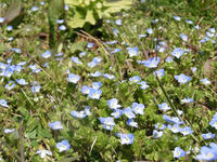 gazou110412-6nj.jpg